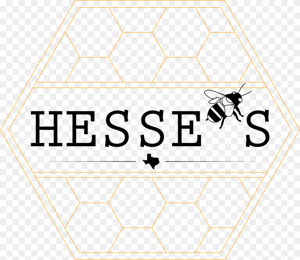 Hive, Food, Honey, Honeycomb Png Image