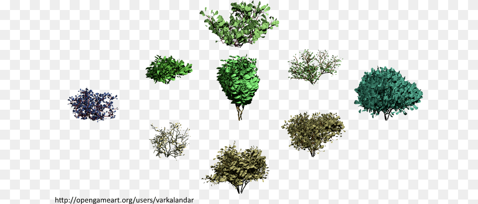 Hjm Bushes 08 Alpha 198 Kb 173 Download Broccoli, Accessories, Plant, Vegetation, Mineral Free Png