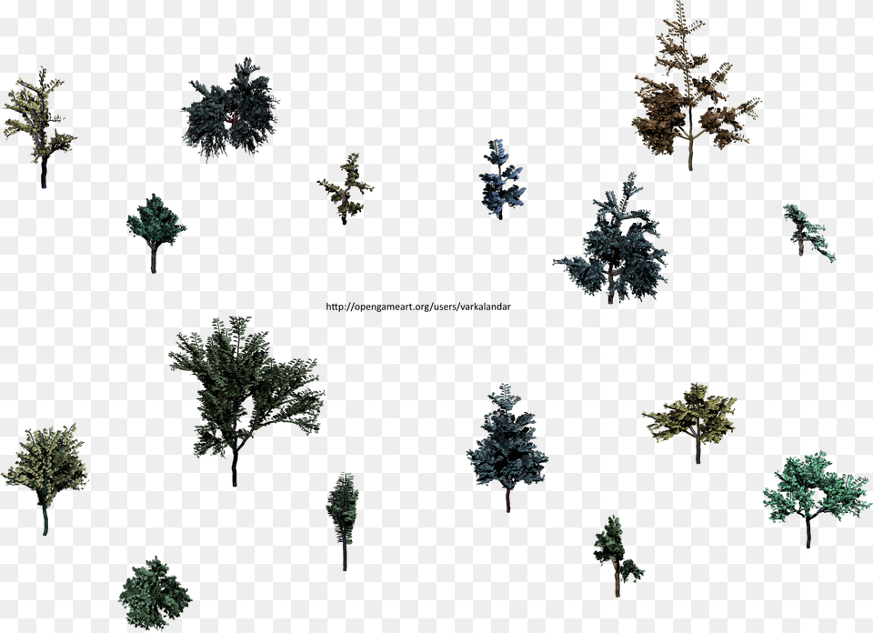Hjm Small Trees 1 Alpha, Tree, Plant, Conifer, Vegetation Png Image
