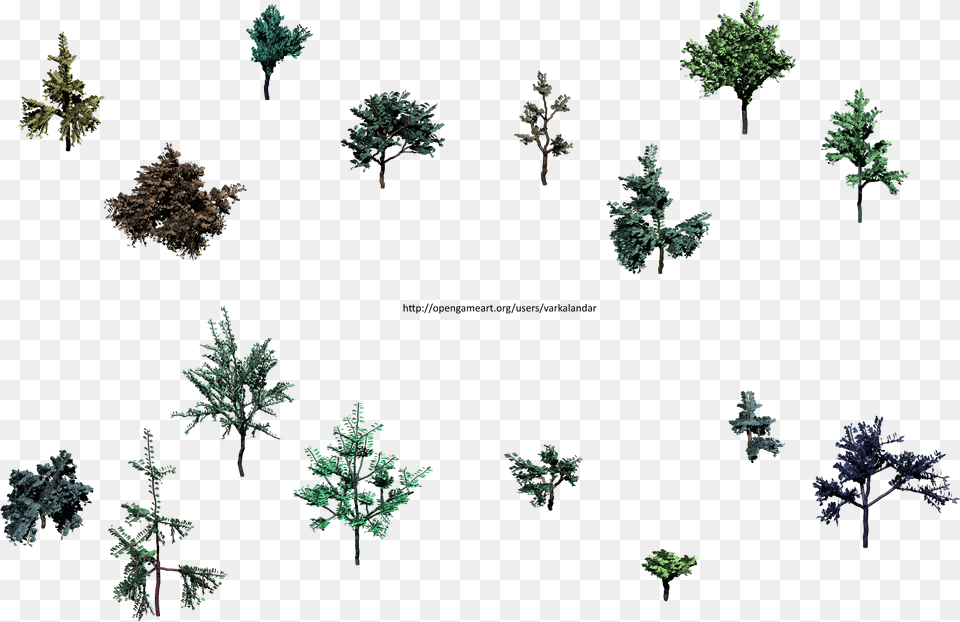 Hjm Small Trees 3 Alpha, Conifer, Tree, Plant, Vegetation Free Png