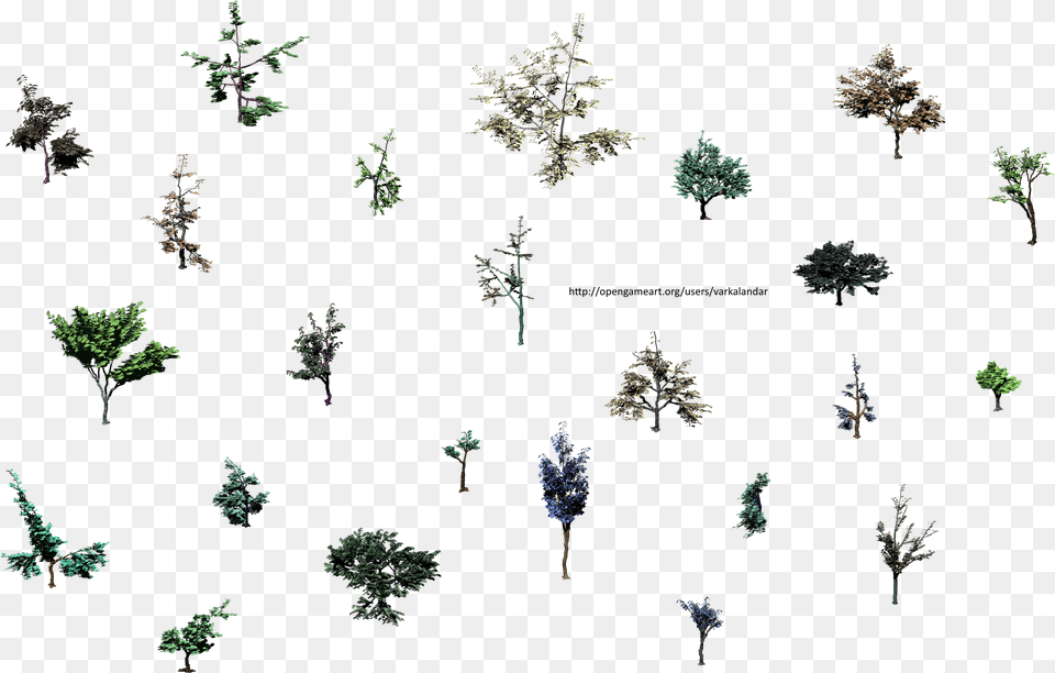 Hjm Small Trees Roots 2 Alpha Insect, Plant, Tree, Pattern, Conifer Png Image