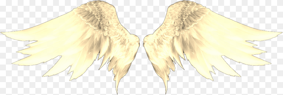 Hmm I Want A Catchy Title So Here Face Angel Face Michael Jackson, Animal, Bird, Vulture Free Png