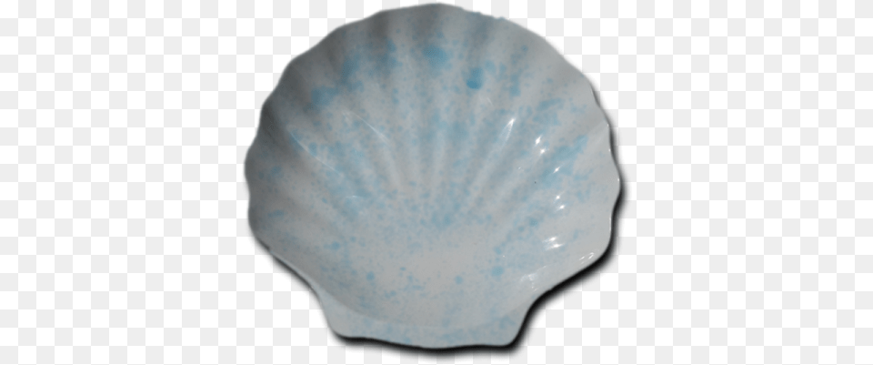 Hnh Shell, Animal, Clam, Food, Invertebrate Free Transparent Png