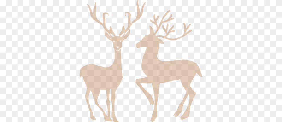 Ho Make A Christmas List, Animal, Deer, Mammal, Wildlife Png