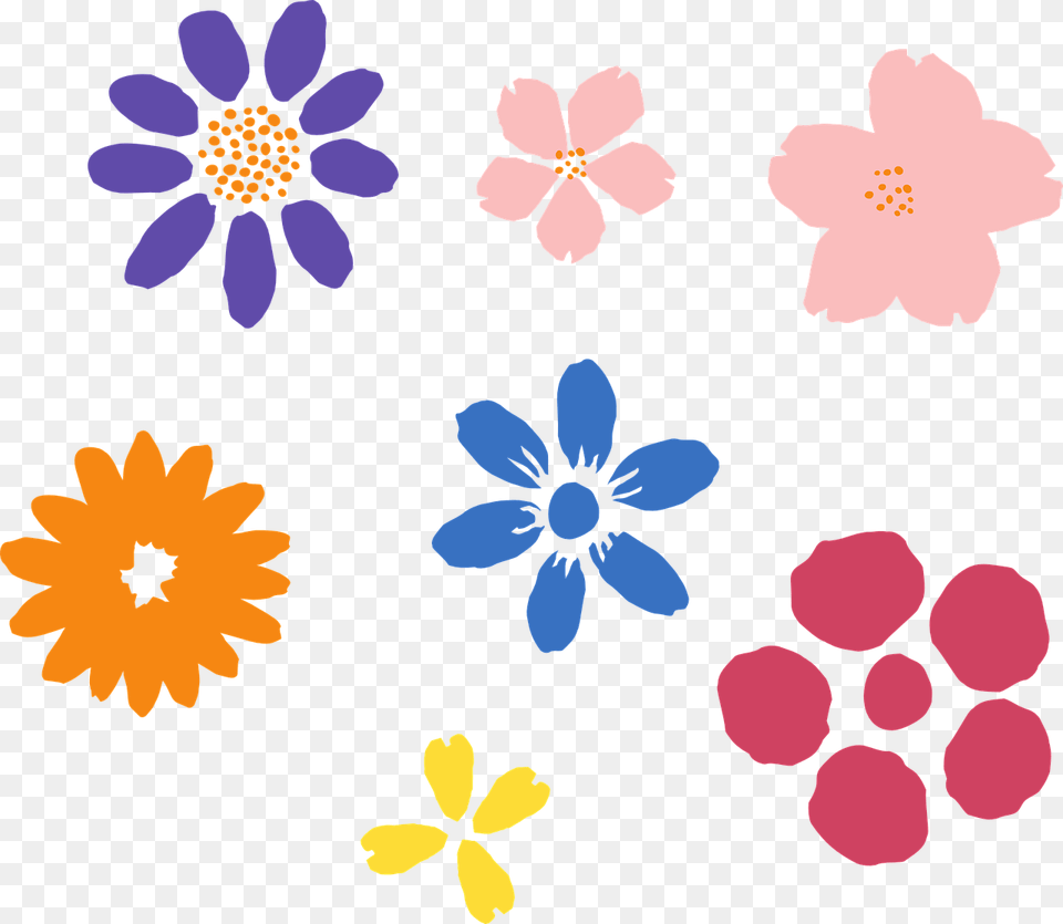 Hoa Anh O V, Anemone, Daisy, Flower, Petal Free Png