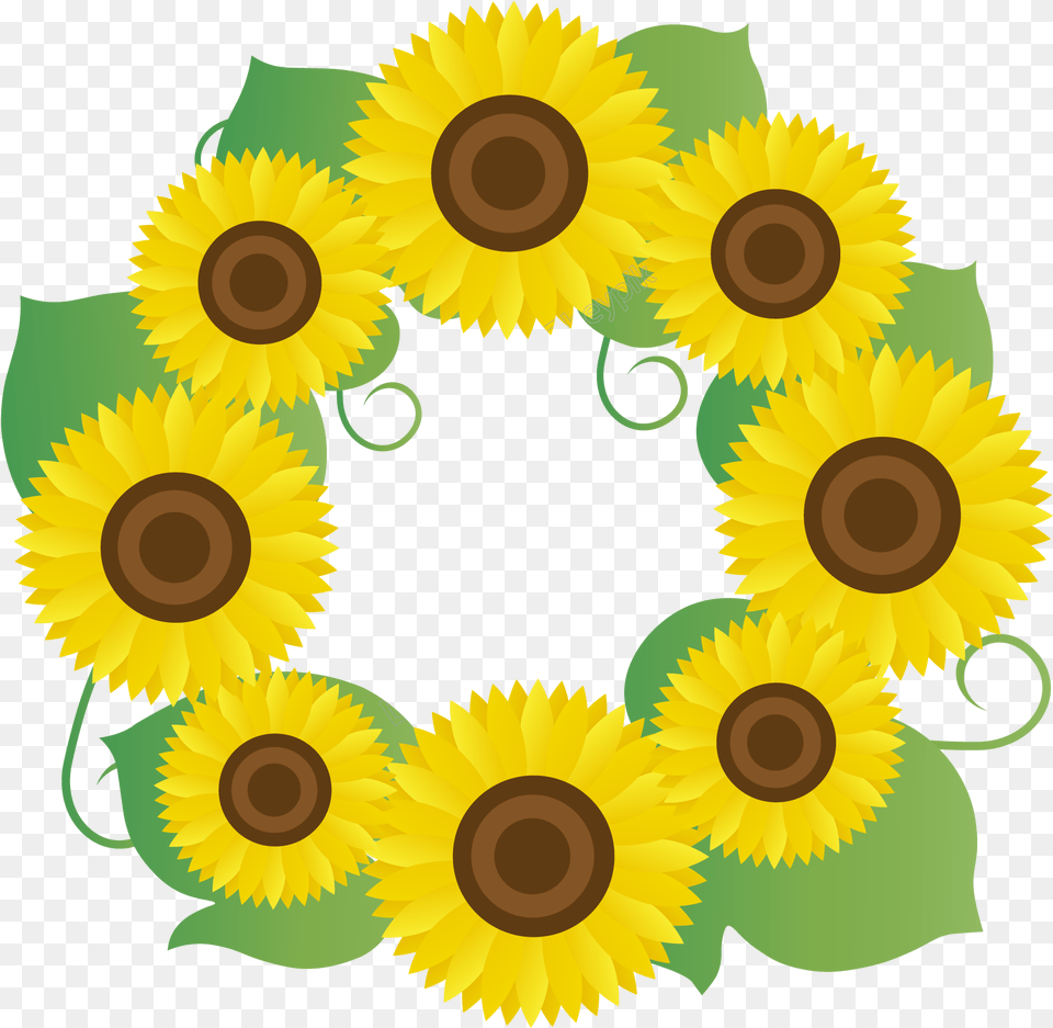 Hoa Hng Dng V Gin, Flower, Plant, Sunflower, Nature Png