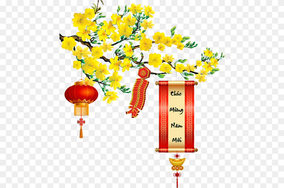 Hoa Mai, Flower, Flower Arrangement, Lamp, Plant Free Png Download