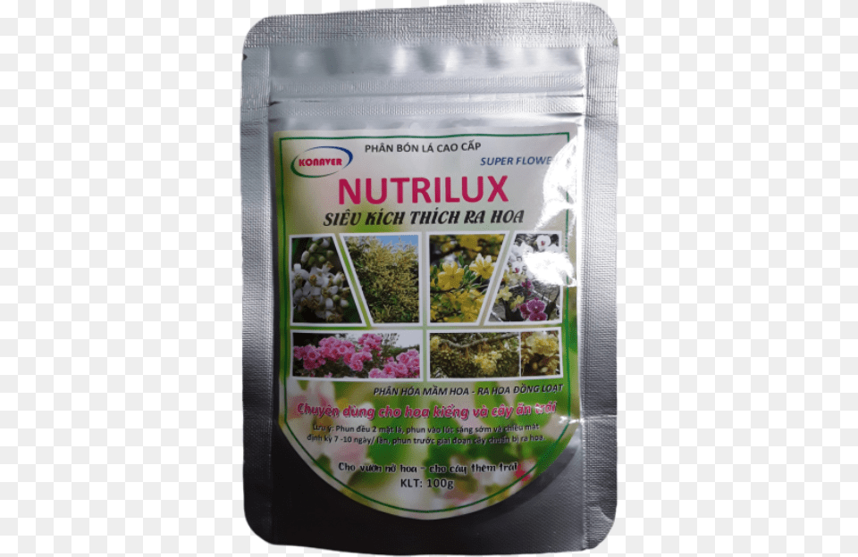 Hoa Mai, Herbal, Herbs, Plant, Advertisement Free Transparent Png