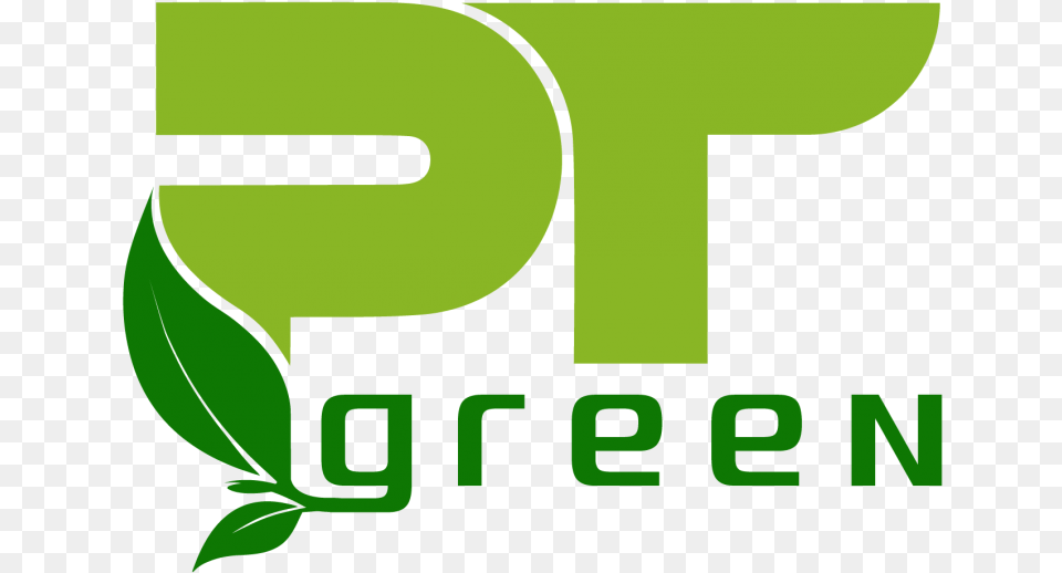 Hoa Mai, Green, Leaf, Plant, Logo Png Image