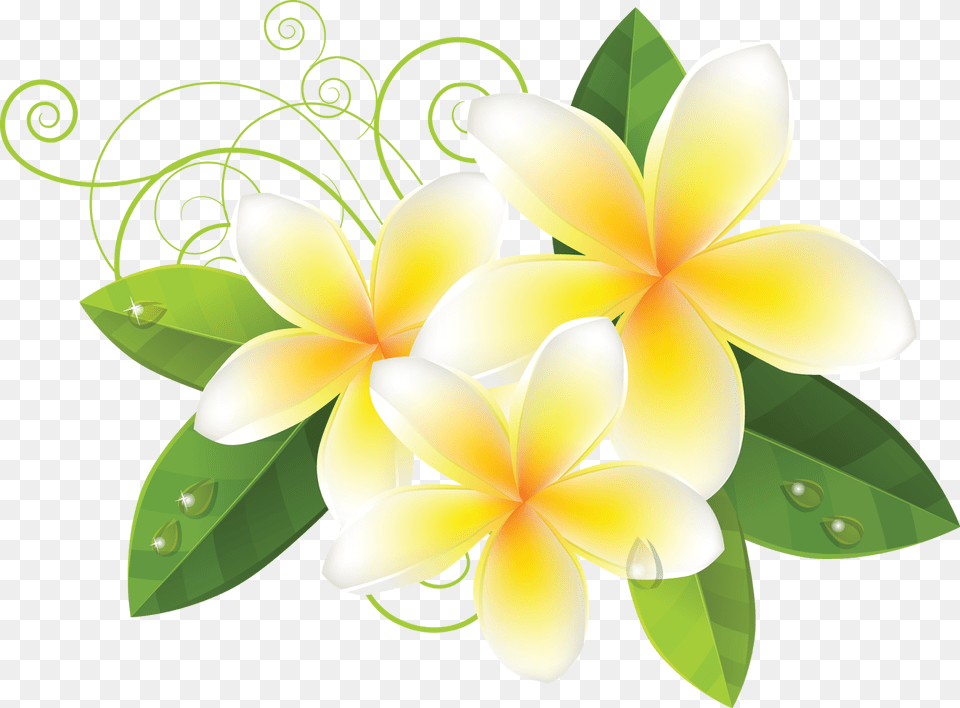 Hoa Van Vector, Art, Floral Design, Graphics, Pattern Free Png