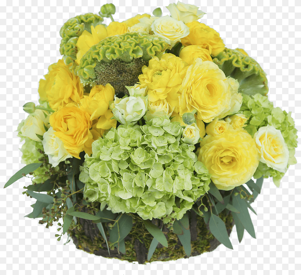 Hobbit Hole Garden Roses, Art, Floral Design, Flower, Flower Arrangement Free Png