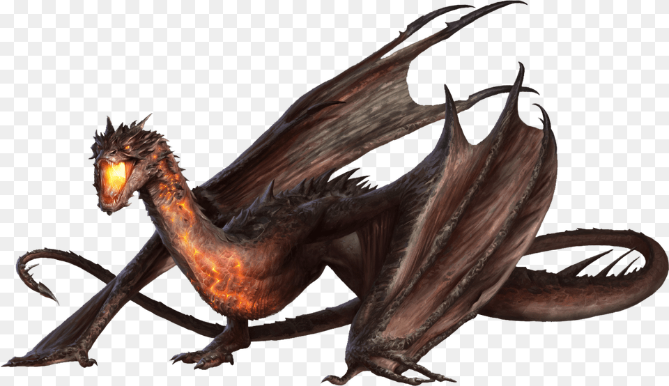 Hobbit The Dragon Bilbo Baggins Smaug Dragon Or Wyvern, Animal, Bird Free Png Download