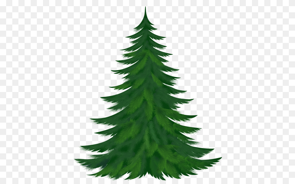 Hobby Christmas, Fir, Plant, Tree, Conifer Png