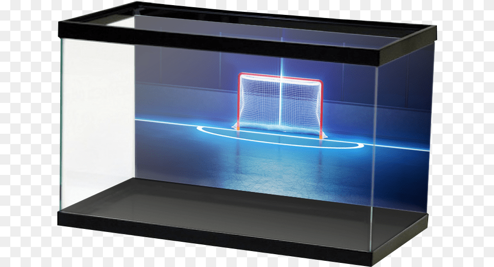 Hockeygoal, Animal, Aquarium, Fish, Sea Life Free Transparent Png