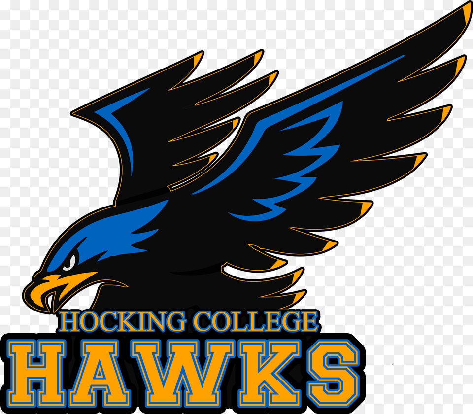 Hocking College Hawks, Animal, Bird, Eagle, Fish Free Png