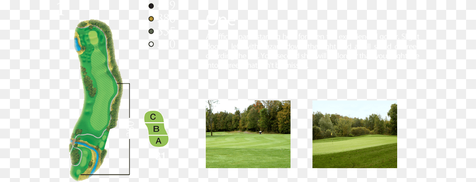 Hockley Valley Resort Yardages Lawn, Field, Nature, Outdoors, Grass Free Transparent Png