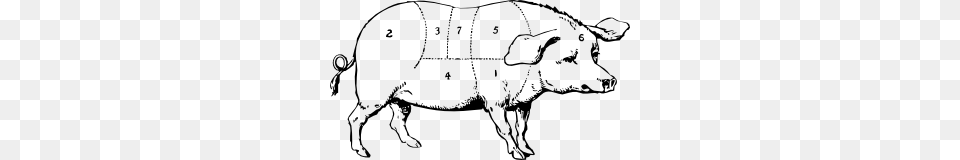Hog Clip Art Vector, Animal, Bull, Mammal, Pig Png Image