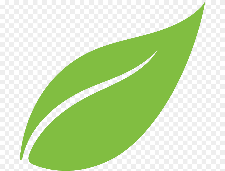 Hoja, Green, Leaf, Plant Png Image