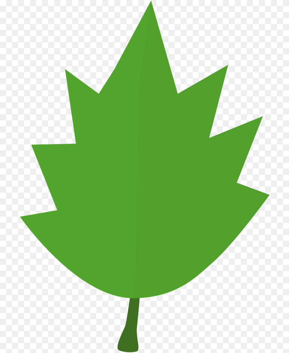 Hoja De Arbol Clipart, Leaf, Plant, Green, Maple Leaf Free Png Download