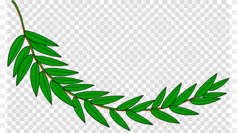 Hoja De Laurel Dibujo, Green, Leaf, Pattern, Plant Png