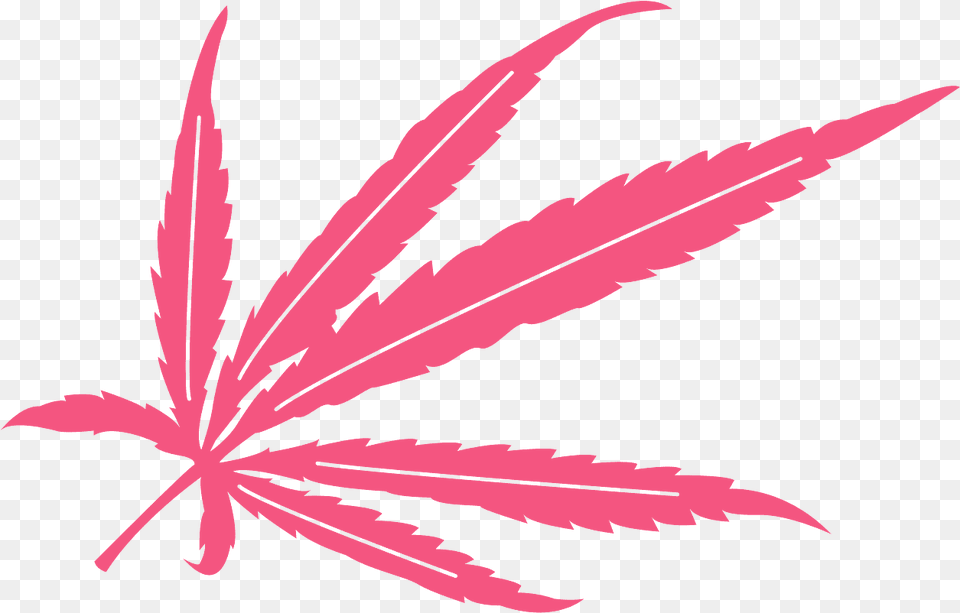 Hoja De Marihuana En Vector, Leaf, Plant, Animal, Fish Free Png Download