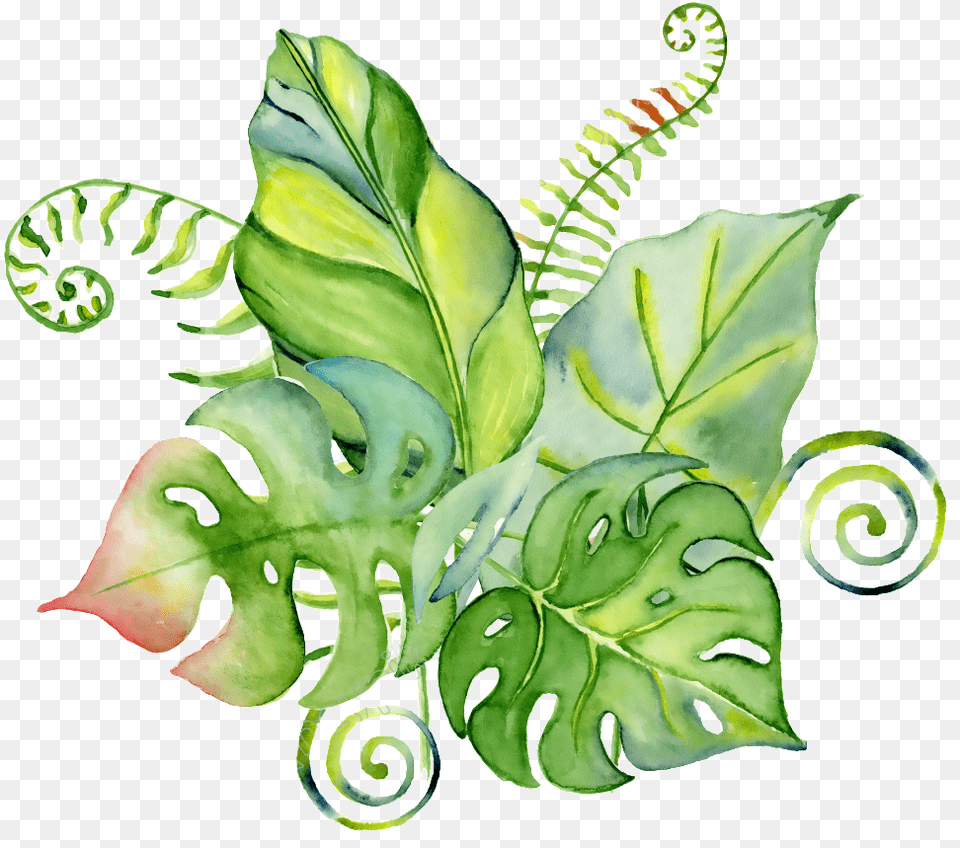 Hoja Vector Dinosaur Baby Shower Invitation, Leaf, Plant, Fern, Art Png Image