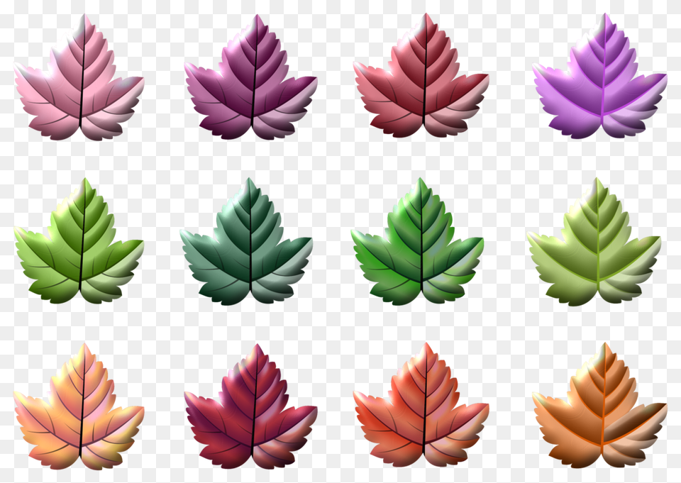 Hojas, Leaf, Pattern, Plant, Tree Free Png