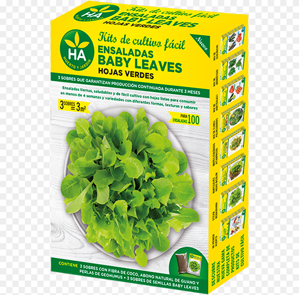 Hojas Verdes Batlle Grow Kit Ideal For Urban Garden Salad Baby, Food, Produce, Leafy Green Vegetable, Plant Free Transparent Png