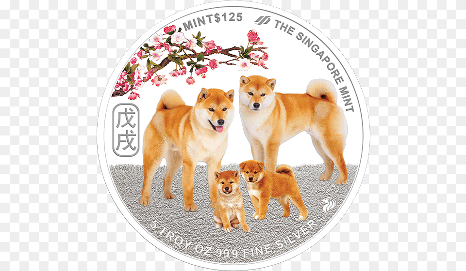 Hokkaido, Animal, Canine, Dog, Mammal Free Transparent Png