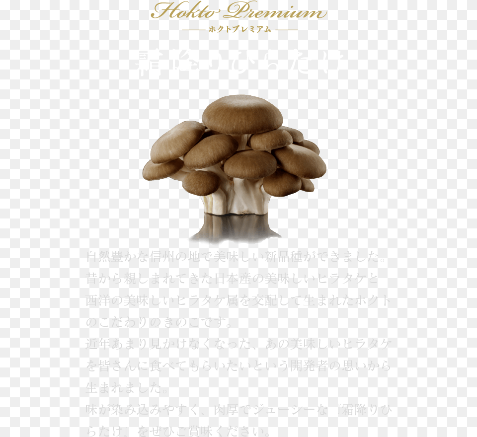 Hokuto Premium Shimofuri Hiratake Shiitake, Fungus, Plant, Mushroom, Agaric Free Png Download