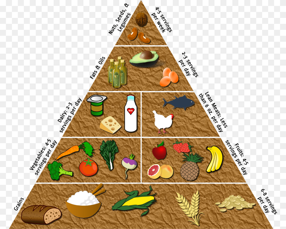 Hold An Event Where You Build The Food Pyramid With Christmas Tree, Animal, Bird, Chicken, Fowl Free Transparent Png