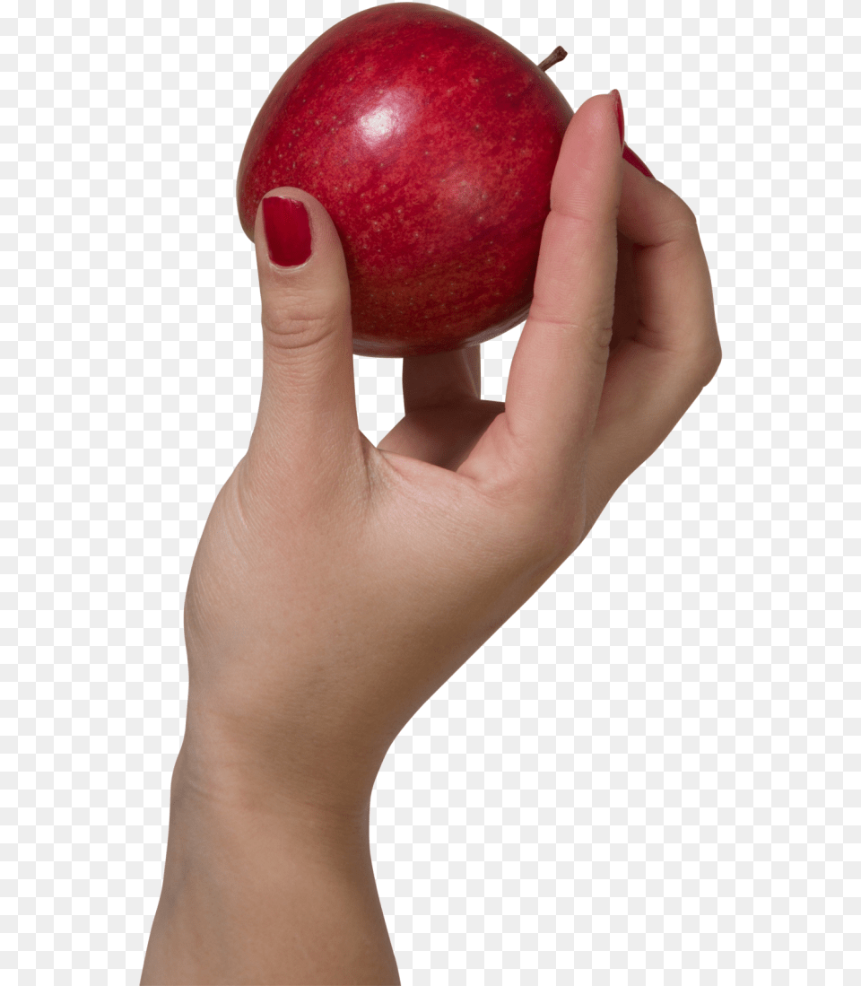 Holding An Apple Purepng Transparent Cc0 Hand Holding Apple Transparent, Fruit, Body Part, Produce, Finger Png Image