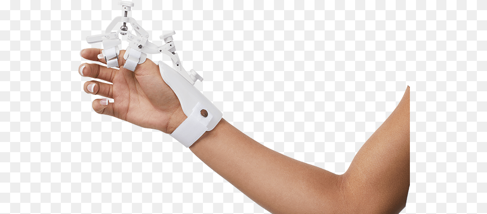 Holding Trophy, Arm, Body Part, Hand, Person Png Image