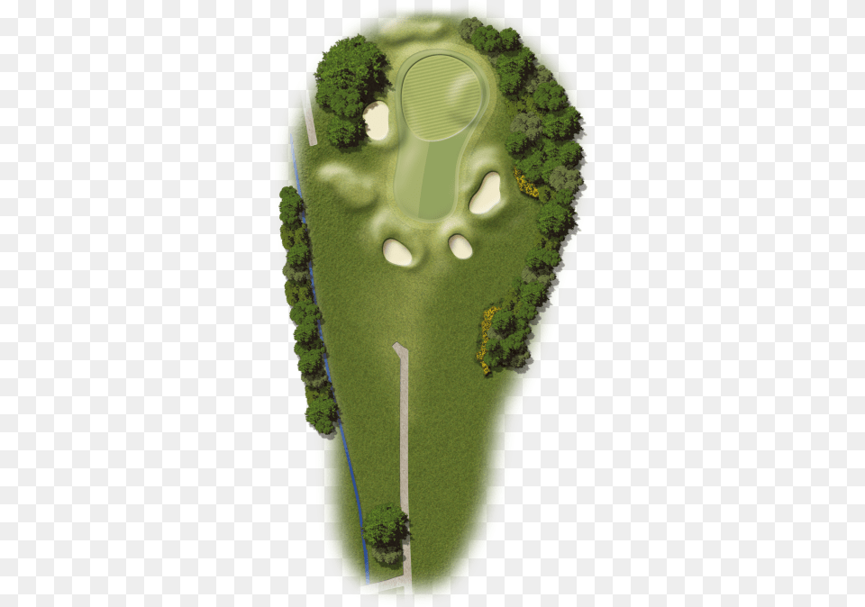 Hole 15 Sandy Lodge Golf Club Tree Plan View, Field, Nature, Outdoors, Golf Course Png