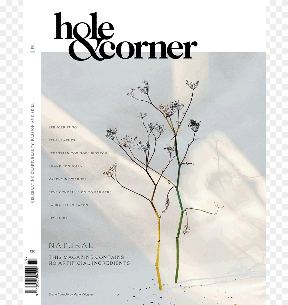 Hole Amp Corner New Hole And Corner, Advertisement, Plant, Poster, Text Free Transparent Png