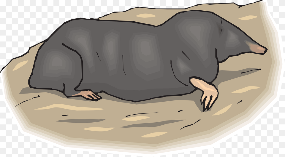 Hole Clipart, Animal, Mammal, Mole, Baby Free Png