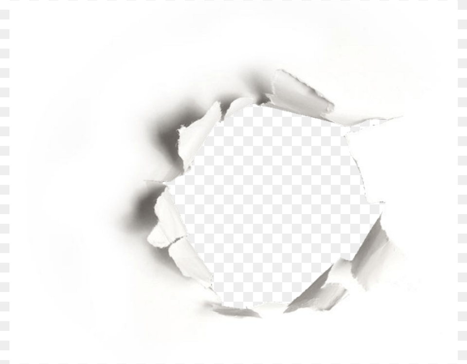 Hole In Paper, Animal, Bird Free Transparent Png