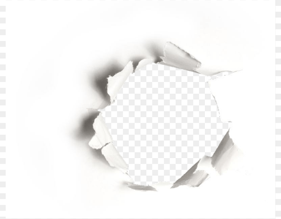 Hole In Paper Download Broken Paper Effect, Animal, Bird Free Transparent Png