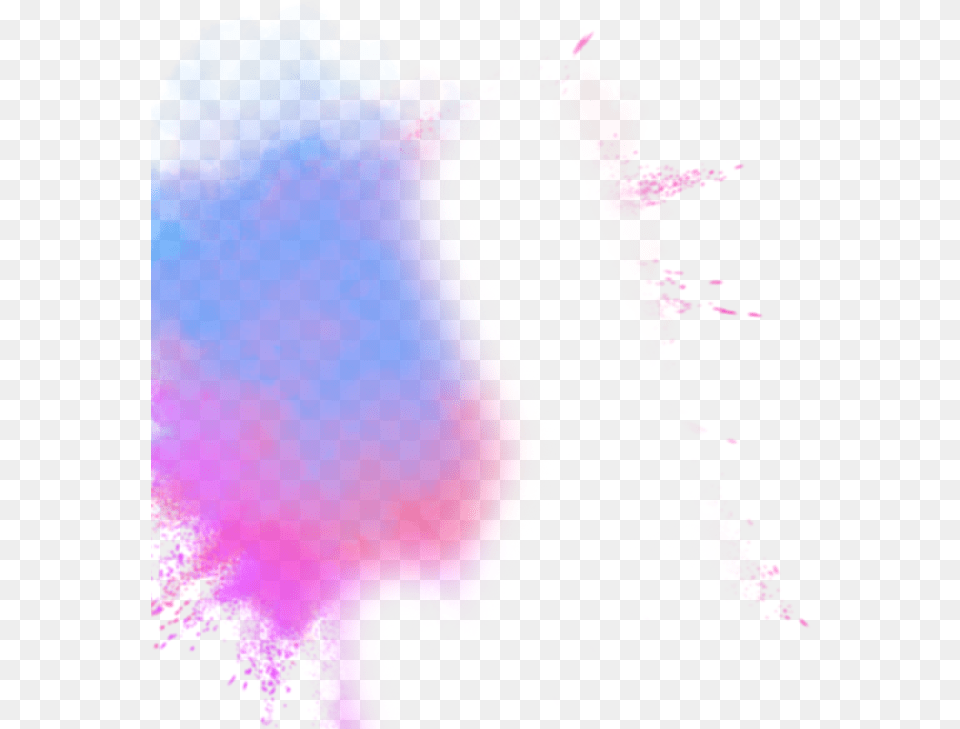 Holi Colors, Art, Graphics, Purple, Person Free Transparent Png