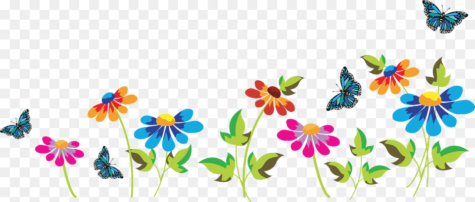Holi Download Hq Clipart, Plant, Flower, Daisy, Pattern Png