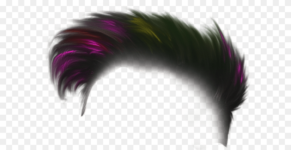 Holi Hair New Background, Person, Accessories, Art, Graphics Free Png Download