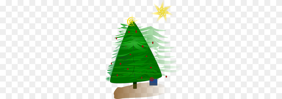 Holiday Plant, Tree, Christmas, Christmas Decorations Png Image