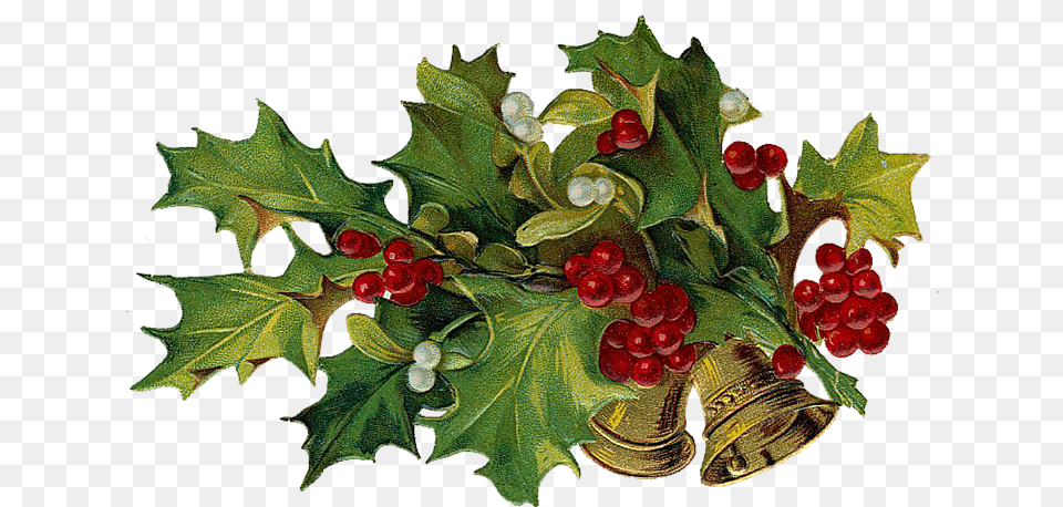 Holiday Archives, Leaf, Plant, Food, Fruit Free Transparent Png