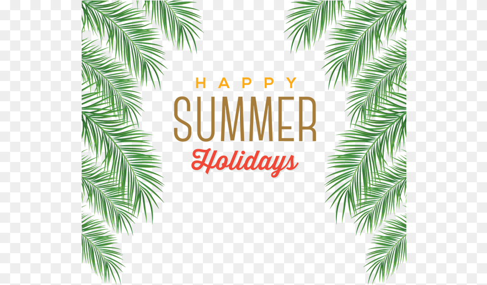 Holiday At Home By Jason Grant Amp Lauren Bamford Happy Summer Transparent Background, Conifer, Rainforest, Plant, Vegetation Free Png Download