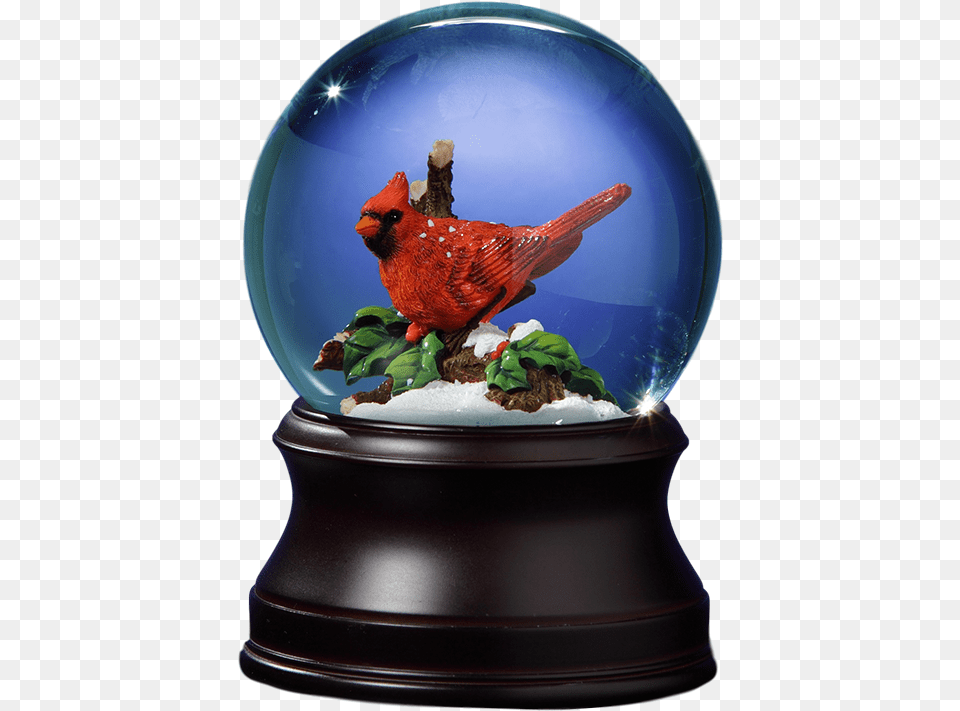 Holiday Cardinal Snow Globeclass Okapi, Sphere, Animal, Bird, Beak Free Png Download