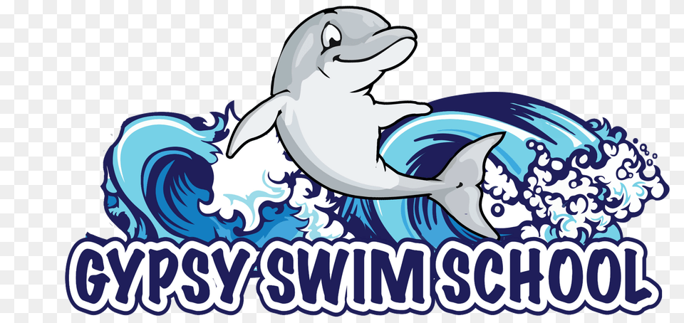 Holiday Gift Certificate Gypsy Swim School, Animal, Dolphin, Mammal, Sea Life Png