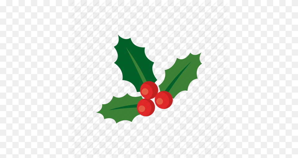 Holiday Holly, Leaf, Plant, Food, Fruit Png Image