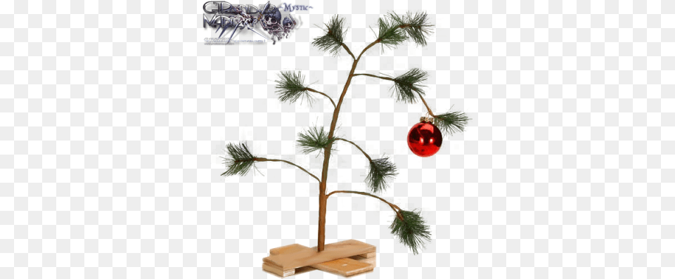 Holiday Renders Parental Alienation And Christmas, Plant, Tree, Flower, Christmas Decorations Free Transparent Png