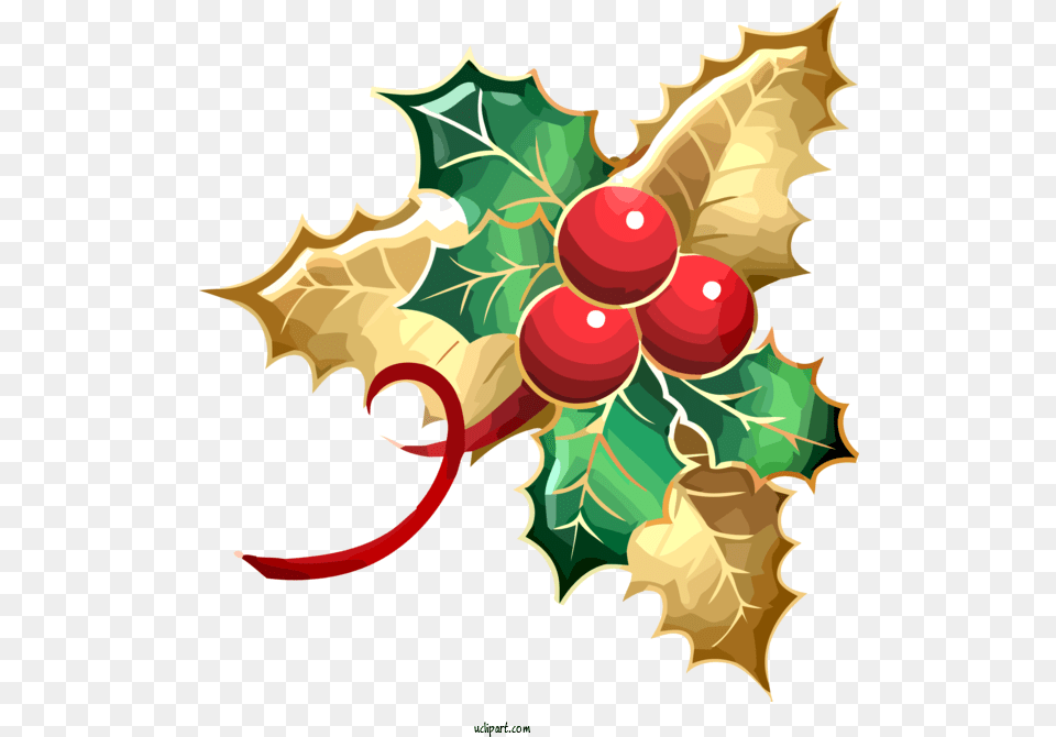 Holidays Holly Leaf Plant For Christmas For Holiday, Food, Fruit, Produce Png Image