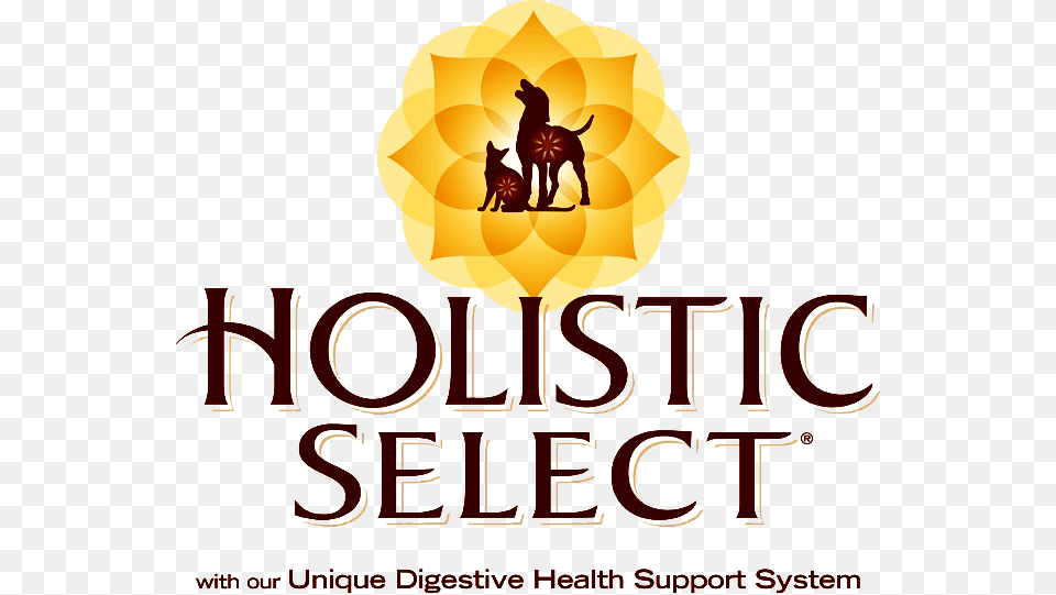 Holistic Select Flower Logo, Book, Publication, Advertisement, Poster Png Image